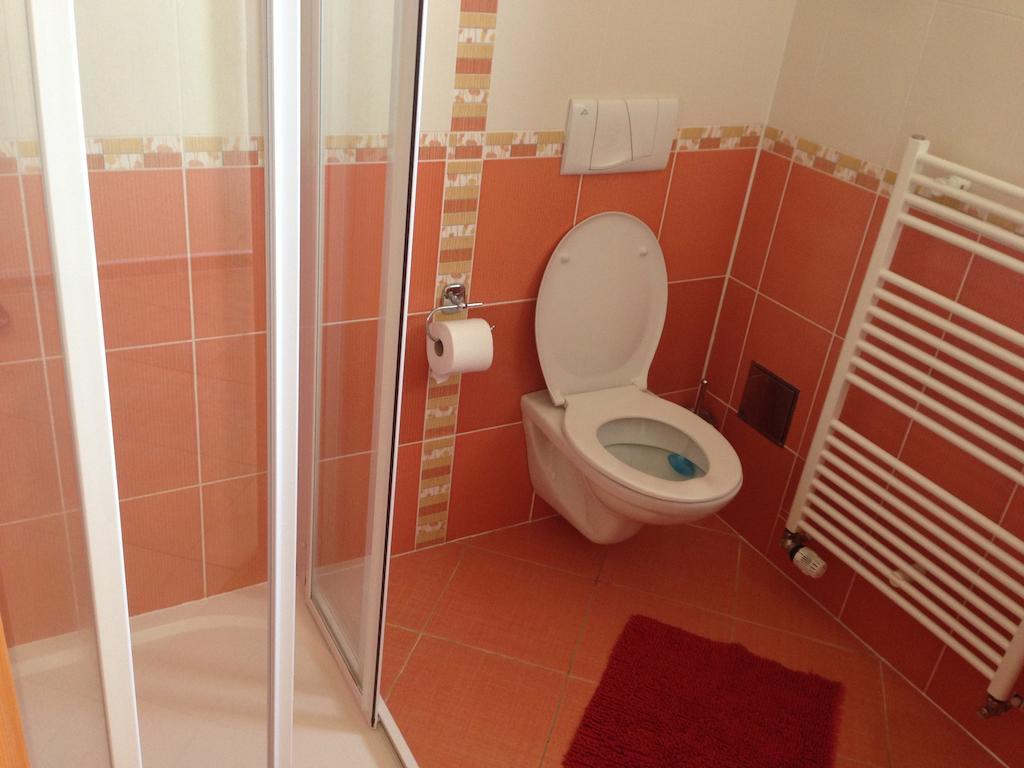 Apartmany Nowy Frymburk Chambre photo